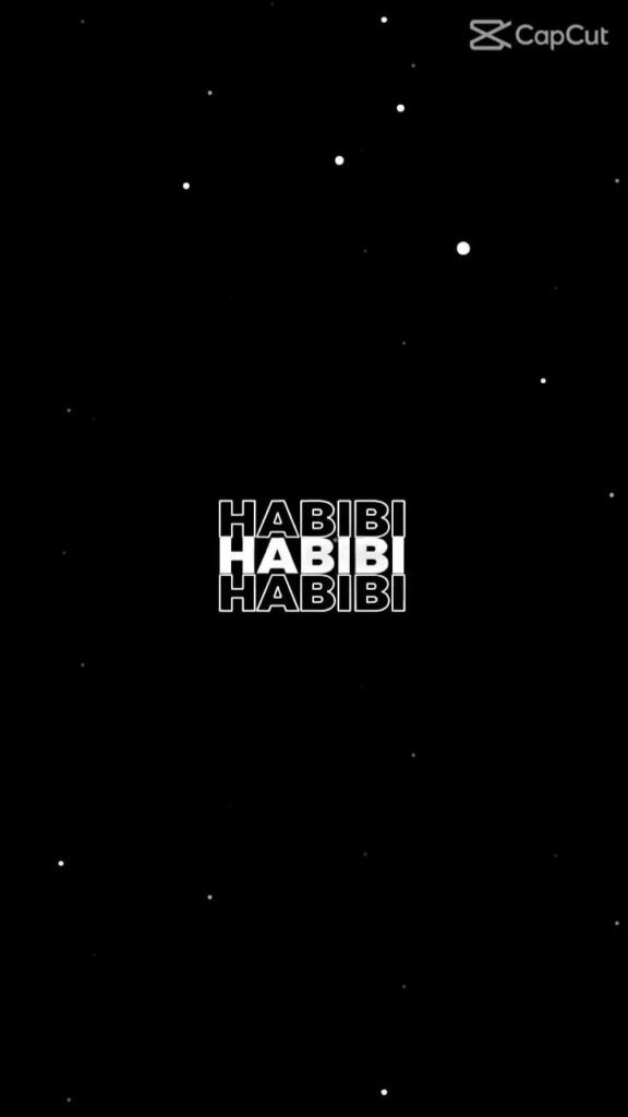 Habibi CapCut Template